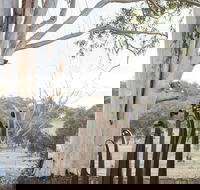 Sculptures in the Garden - Tweed Heads Accommodation