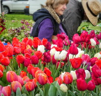 Spring Fling
