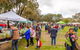 Spring Fling - thumb 1