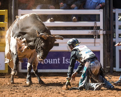 The 2020 Virtual Mount Isa Mines Rodeo - Tweed Heads Accommodation 2