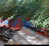 Twilight Run   Willans Hill Miniature Railway - Tweed Heads Accommodation