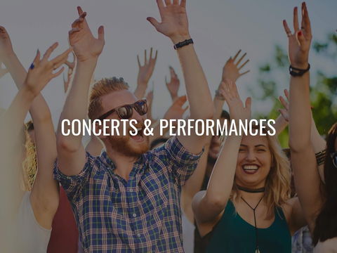 Van The Man - Tweed Heads Accommodation 0