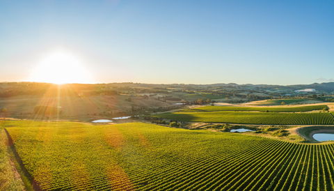 Wine And Food At Altitude - Tweed Heads Accommodation 0
