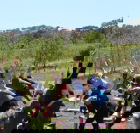 Yoga in the Vines - Tweed Heads Accommodation