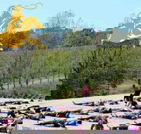 Yoga in the Vines - Tweed Heads Accommodation