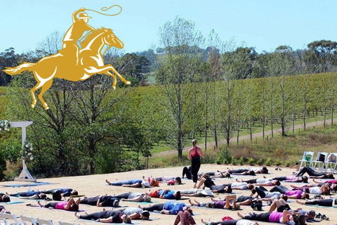 Yoga In The Vines - Tweed Heads Accommodation 0