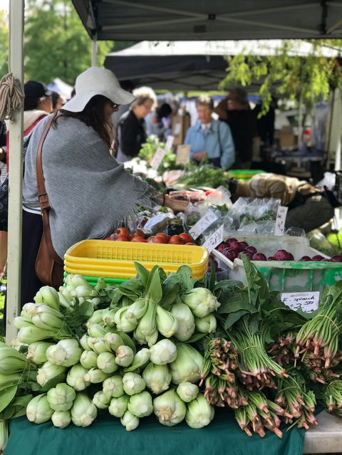 Orange Farmers Market - Tweed Heads Accommodation 1