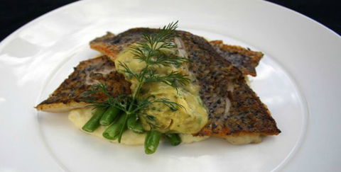 Aquarius Seafood Restaurant - Tweed Heads Accommodation 2