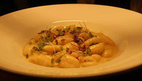 Aquacotta Italian Restaurant - Tweed Heads Accommodation 1