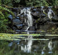 Kondalilla Eco Resort - Tweed Heads Accommodation