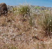 Schouten House - Tweed Heads Accommodation