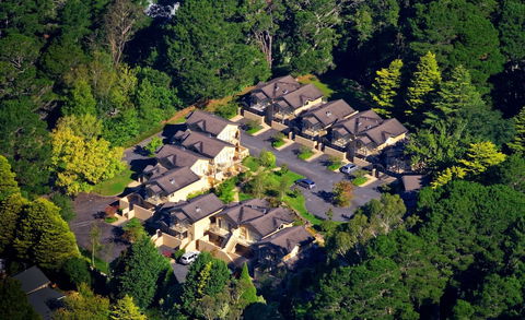 Falls Mountain Retreat - Tweed Heads Accommodation 0