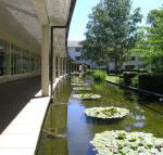 ANU University House Hotel - Tweed Heads Accommodation