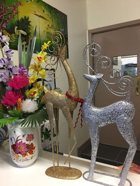 Statesman Motor InnÂ  - Tweed Heads Accommodation 5