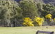 The Grampians Motel & The Views Restaurant - thumb 1