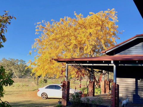 Acheron Valley Country Estate - Tweed Heads Accommodation 3