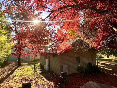 Acheron Valley Country Estate - Tweed Heads Accommodation 5