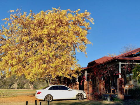 Acheron Valley Country Estate - Tweed Heads Accommodation 6