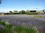 The Barossa Motel - Tweed Heads Accommodation 6