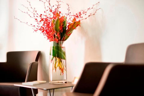 Adelaide Paringa - Tweed Heads Accommodation 2