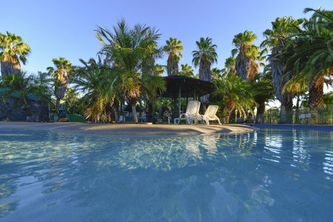 Desert Palms Alice Springs - Tweed Heads Accommodation 5
