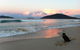 The Beach Townhouse - thumb 5