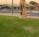 Lake Albert Motel - Tweed Heads Accommodation