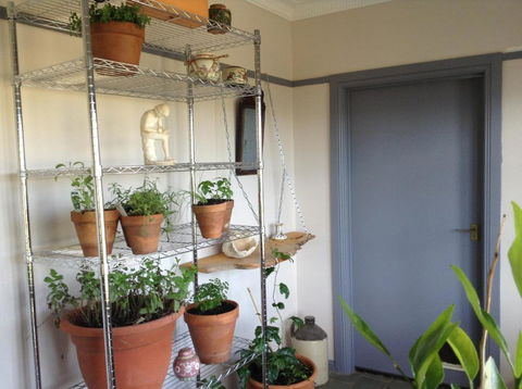 Springmead B & B - Tweed Heads Accommodation 1