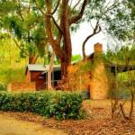 Cedarwood Cottage - Tweed Heads Accommodation 0