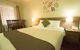 Old Willyama Motor Inn - thumb 4