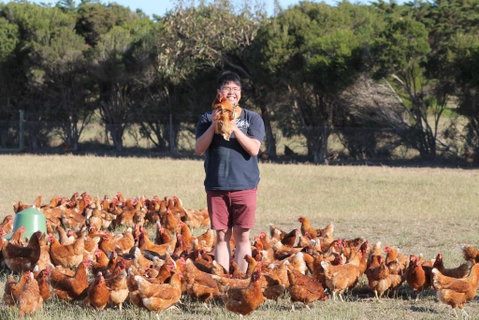 Bimbadeen Phillip Island Farm Retreats - Tweed Heads Accommodation 4