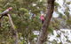 The Coombe On Wilson Inlet - thumb 6
