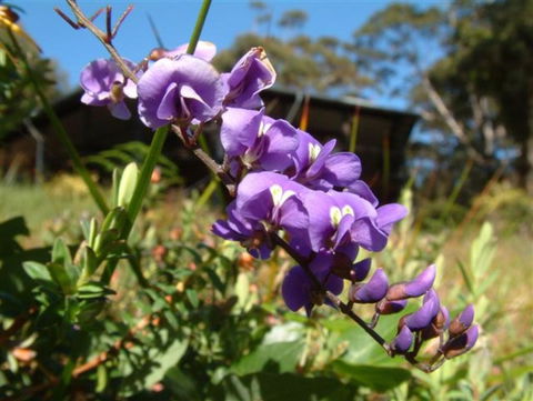The Coombe On Wilson Inlet - Tweed Heads Accommodation 4