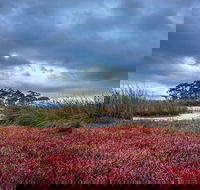 Saintys Creek Cottage - Tweed Heads Accommodation
