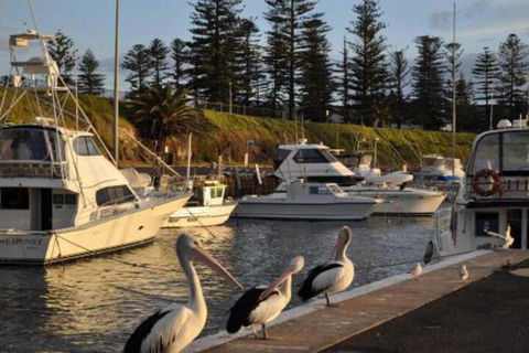 Nautica - Tweed Heads Accommodation 2