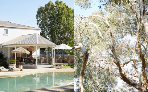 The Brunswick, Brunswick Heads - Tweed Heads Accommodation 1