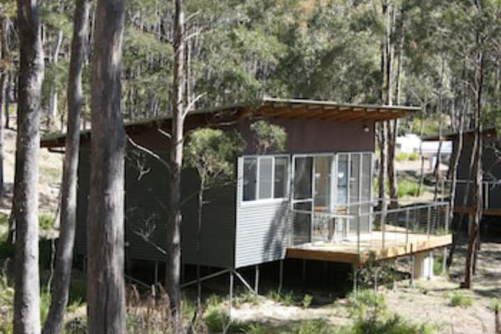Avoca TAS Tweed Heads Accommodation