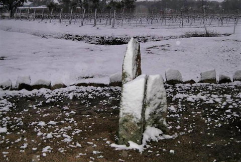 Taits Place Vineyard B & B - Tweed Heads Accommodation 1