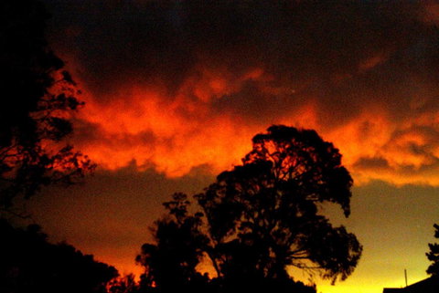 Taits Place Vineyard B & B - Tweed Heads Accommodation 2