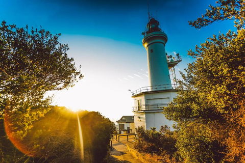 Abaleen House - Tweed Heads Accommodation 5