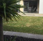 Ella House Adelaide - Tweed Heads Accommodation
