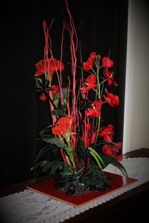 Dalby Apartments Self Contained Motel - Tweed Heads Accommodation 1