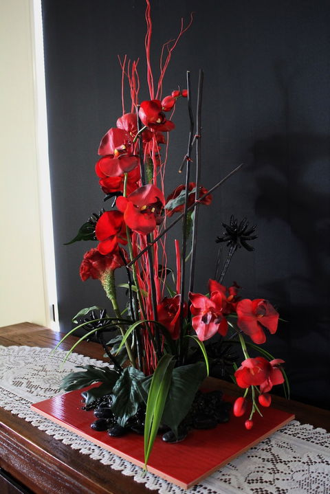 Dalby Apartments Self Contained Motel - Tweed Heads Accommodation 2