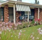 Butterfly Cottage - Tweed Heads Accommodation