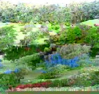 The Acreage BB - Tweed Heads Accommodation