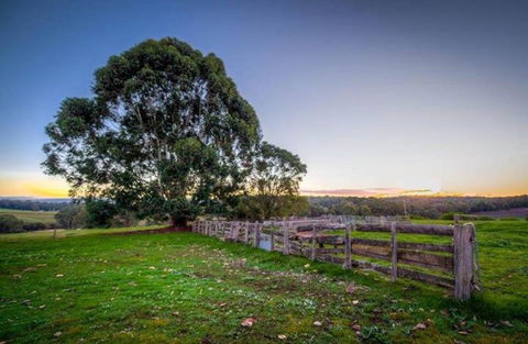 Dingup House - Tweed Heads Accommodation 4