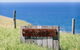Ocean Farm - thumb 1