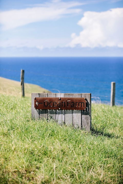 Ocean Farm - Tweed Heads Accommodation 1