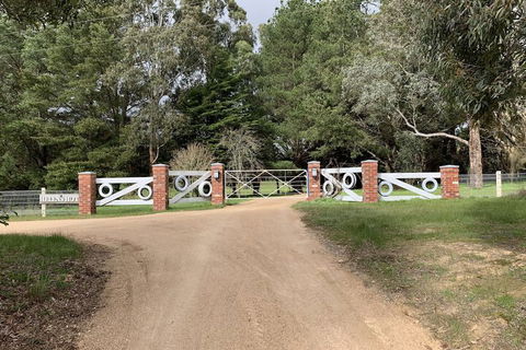 Helen's Homestead - Tweed Heads Accommodation 7