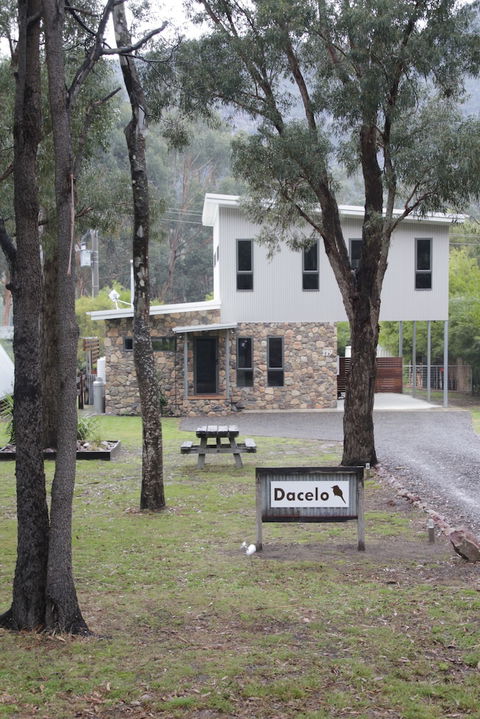 Dacelo - Tweed Heads Accommodation 4